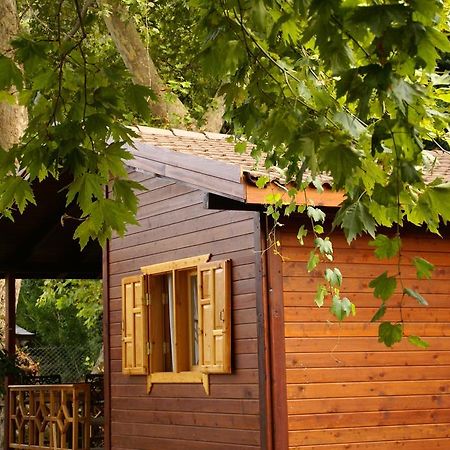 Maji Village Çıralı Eksteriør billede