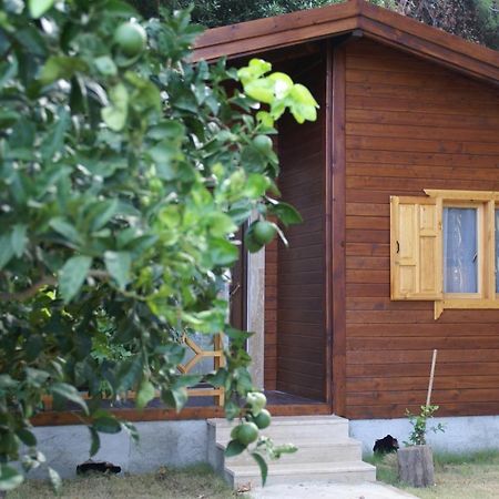 Maji Village Çıralı Eksteriør billede