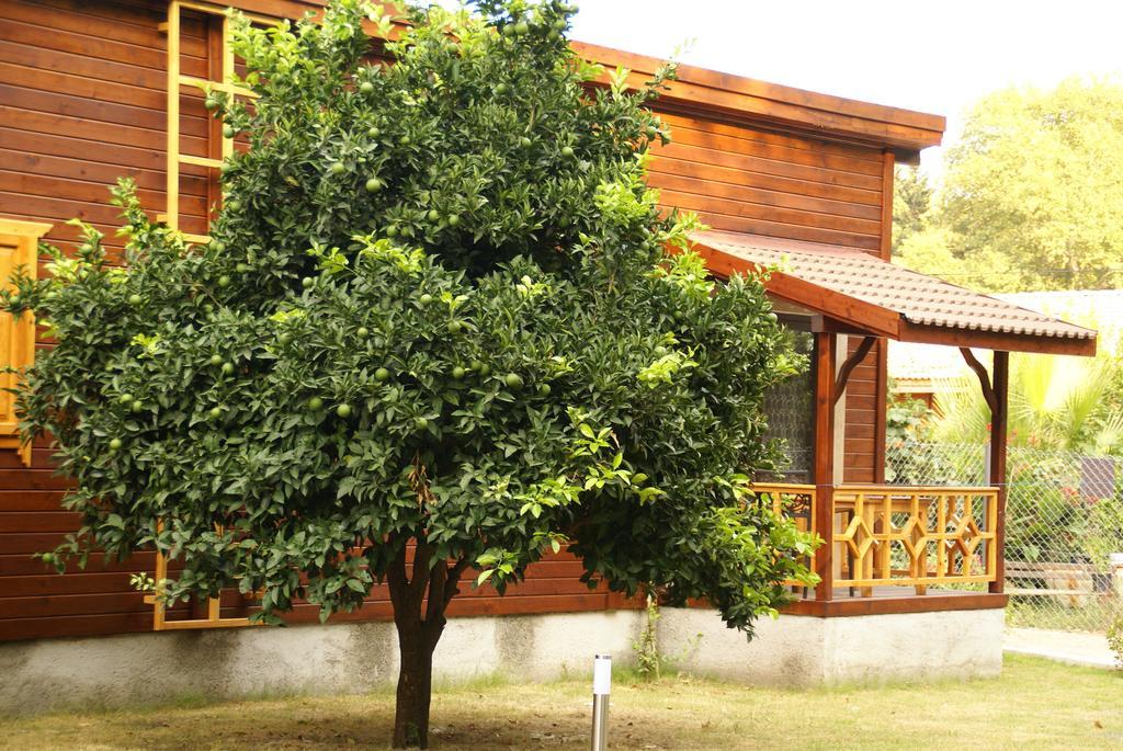 Maji Village Çıralı Eksteriør billede