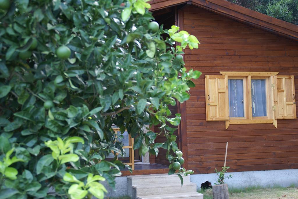 Maji Village Çıralı Eksteriør billede