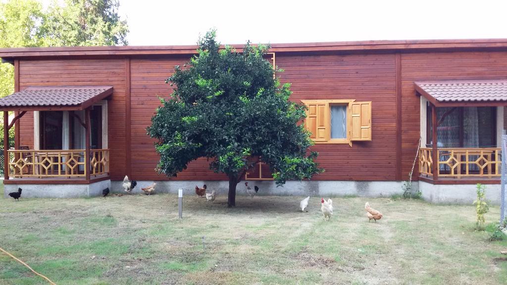 Maji Village Çıralı Værelse billede