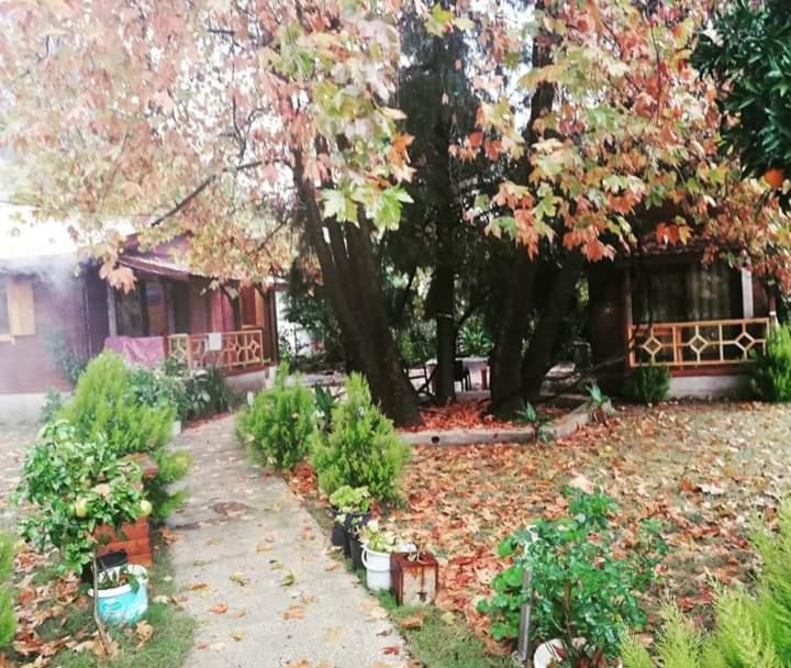 Maji Village Çıralı Eksteriør billede