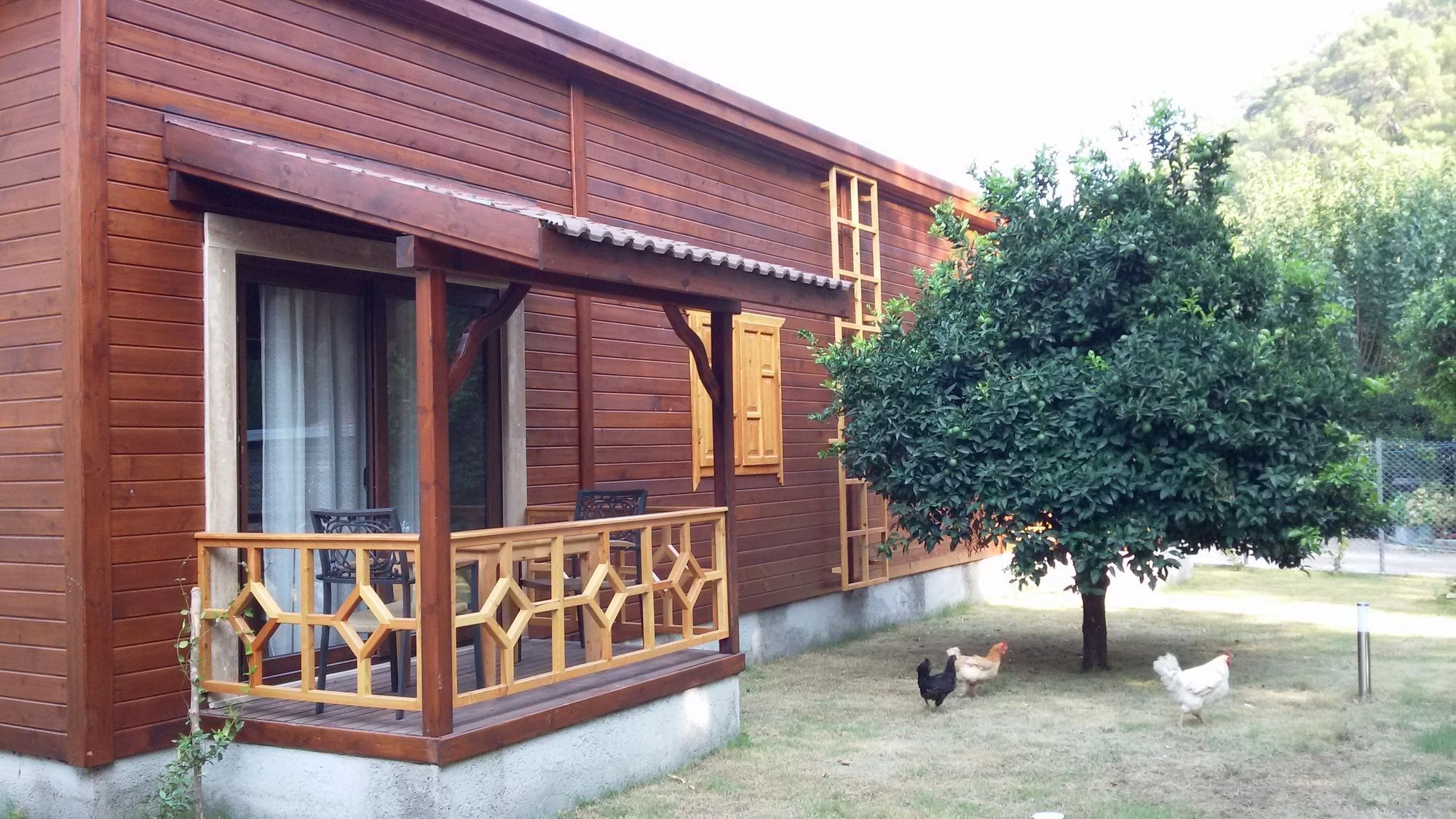 Maji Village Çıralı Eksteriør billede